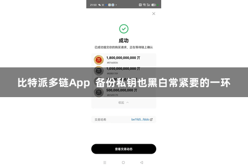 比特派多链App  备份私钥也黑白常紧要的一环