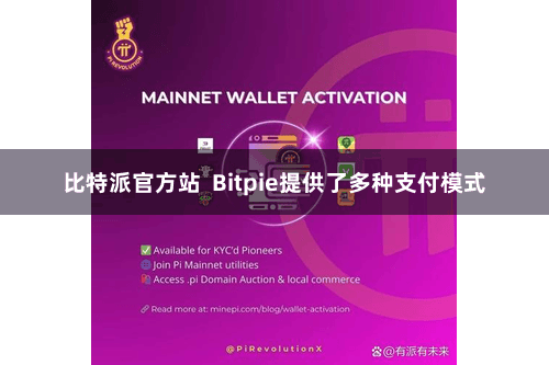比特派官方站  Bitpie提供了多种支付模式